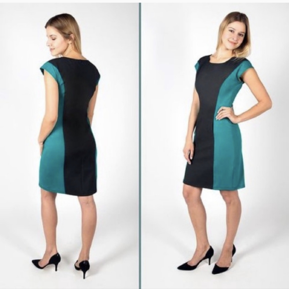 BetaBrand Olympian Color Block Dress w/ Pockets